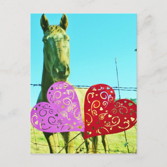 Blonde horse and Pink and Red Hearts Postcard (Front)