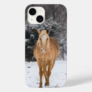 Blonde Horse Walk In The Snow iPhone Case