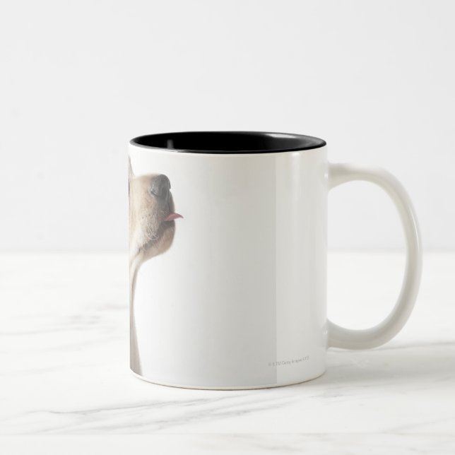 Blonde Labrador puppy sticking out tongue Two-Tone Coffee Mug (Right)