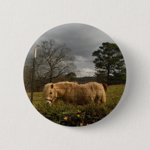 Blonde Miniature Pony / Horse 6 Cm Round Badge