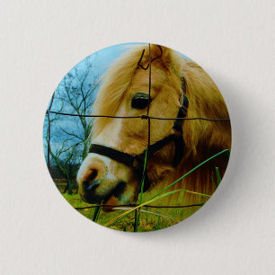 Blonde Miniature Pony / Horse Blue Sky 6 Cm Round Badge