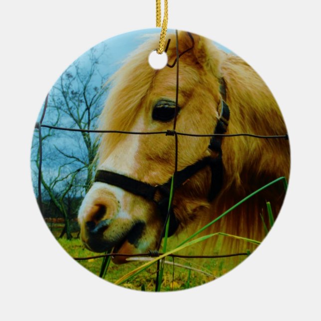 Blonde Miniature Pony / Horse Blue Sky Ceramic Tree Decoration (Front)