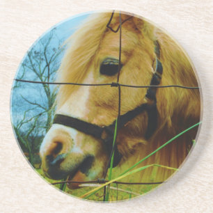 Blonde Miniature Pony / Horse Blue Sky Coaster