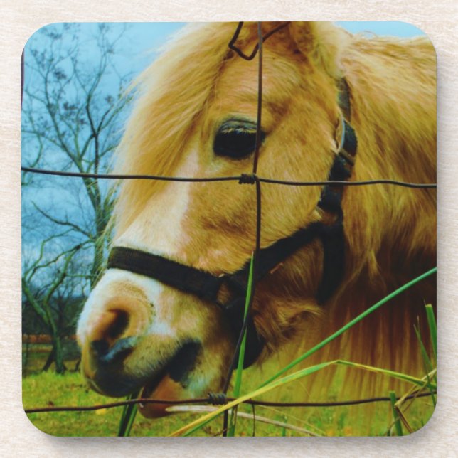 Blonde Miniature Pony / Horse Blue Sky Coaster (Front)