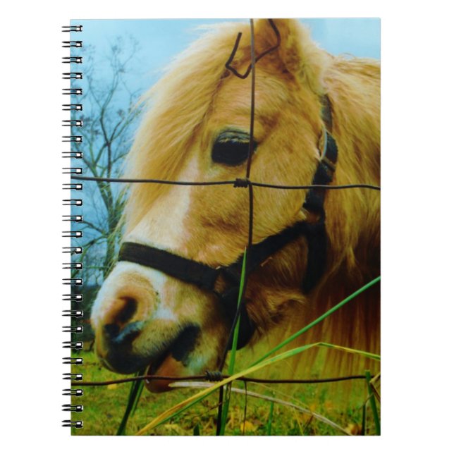 Blonde Miniature Pony / Horse Blue Sky Notebook (Front)
