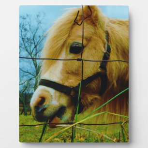 Blonde Miniature Pony / Horse Blue Sky Plaque