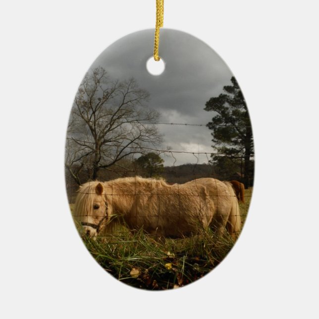 Blonde Miniature Pony / Horse Ceramic Tree Decoration (Front)
