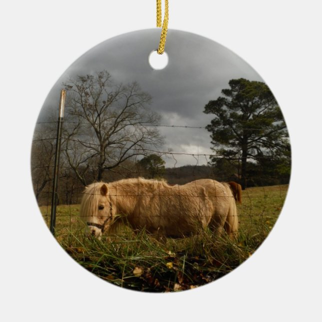 Blonde Miniature Pony / Horse Ceramic Tree Decoration (Front)