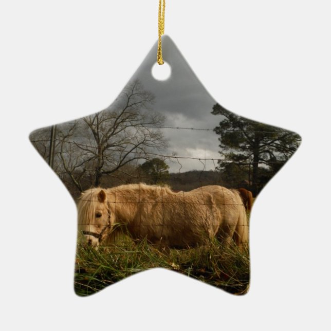 Blonde Miniature Pony / Horse Ceramic Tree Decoration (Front)