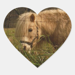 Blonde Miniature Pony / Horse Heart Sticker