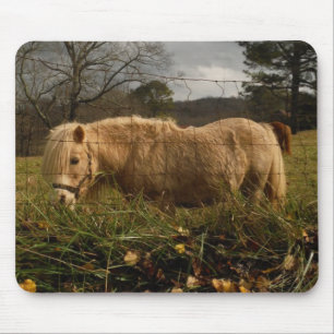 Blonde Miniature Pony / Horse Mouse Mat