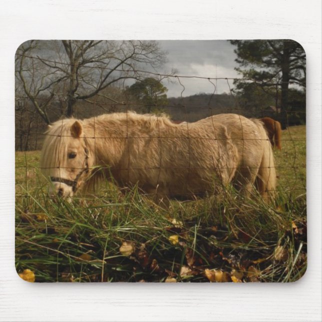Blonde Miniature Pony / Horse Mouse Mat (Front)