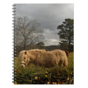 Blonde Miniature Pony / Horse Notebook