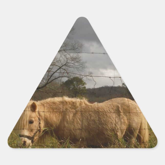Blonde Miniature Pony / Horse Triangle Sticker (Front)