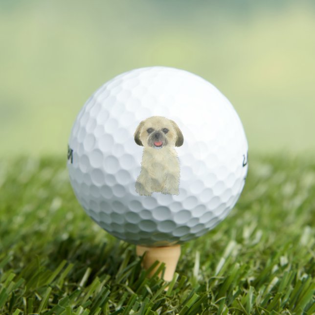 Blonde Tan Golden Shih Tzu Golf Balls (Insitu Tee)