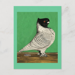 Blondinette Frill Pigeon Postcard