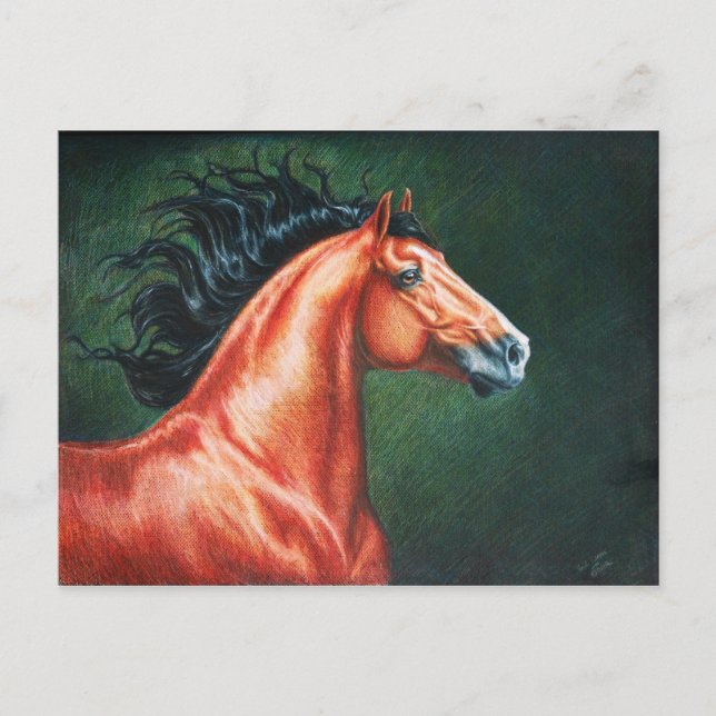 Blood Bay Lusitano Stallion Postcard (Front)