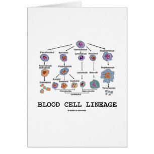 Blood Cell Lineage (Biology Health Medicine)