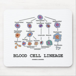 Blood Cell Lineage (Biology Health Medicine) Mouse Mat