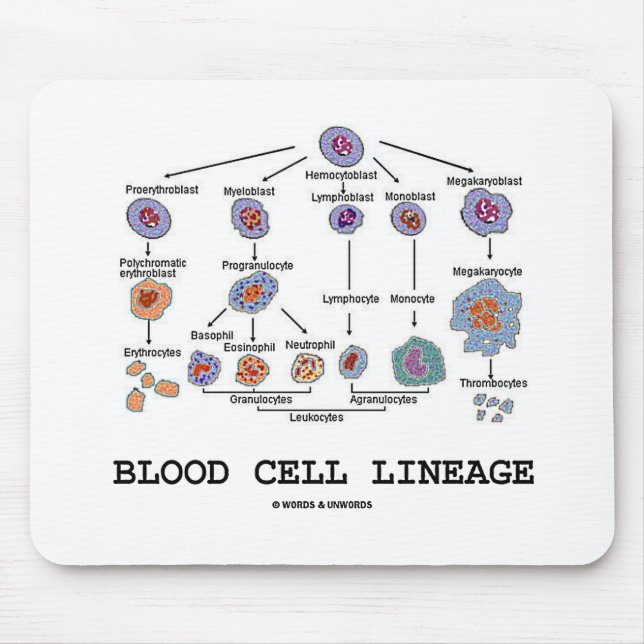 Blood Cell Lineage (Biology Health Medicine) Mouse Mat (Front)