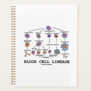 Blood Cell Lineage Biology Health Medicine Planner