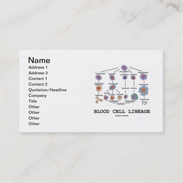 Blood Cell Lineage (Hematology) Business Card (Front)