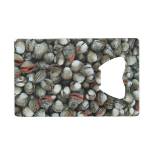 Blood Cockle Shells