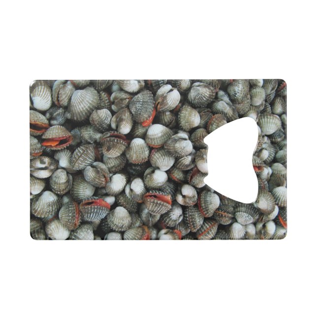 Blood Cockle Shells (Front (Horizontal))