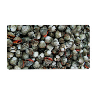 Blood Cockle Shells