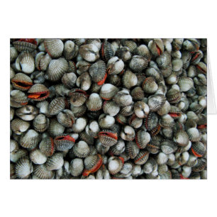 Blood Cockle Shells Card