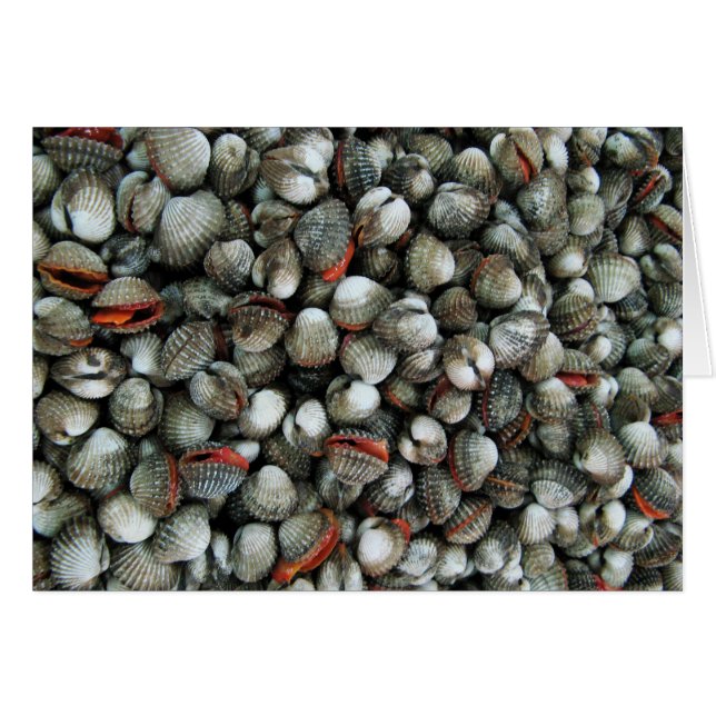 Blood Cockle Shells Card (Front Horizontal)