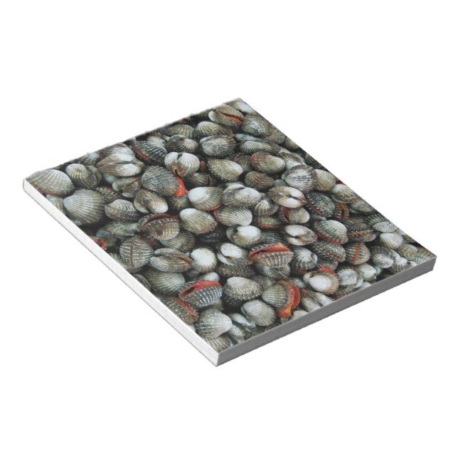 Blood Cockle Shells Notepad (Angled)