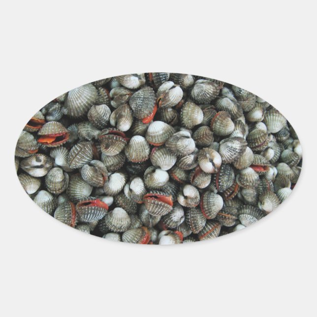 Blood Cockle Shells Oval Sticker (Front)