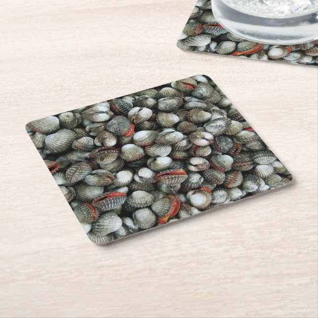 Blood Cockle Shells Square Paper Coaster (Angled)