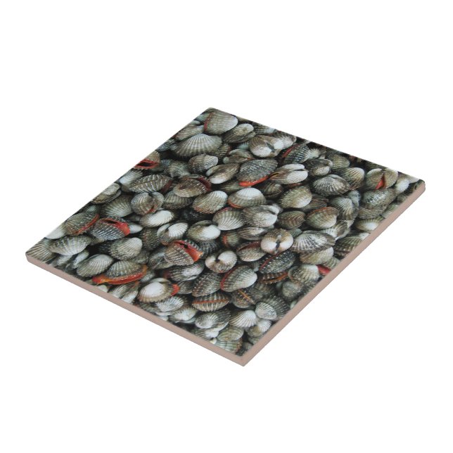 Blood Cockle Shells Tile (Side)