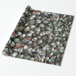 Blood Cockle Shells Wrapping Paper