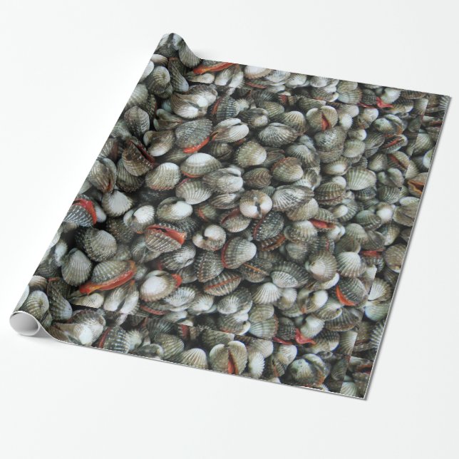 Blood Cockle Shells Wrapping Paper (Unrolled)