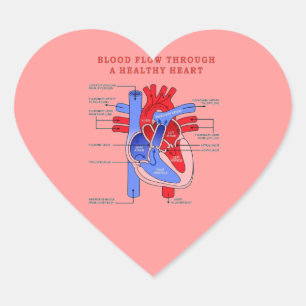 BLOOD FLOW HEART STICKER