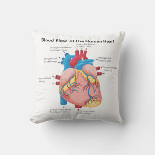 Blood Flow of the Human Heart, Double Sided Cushion