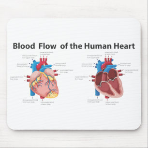 Blood Flow of the Human Heart Mouse Mat