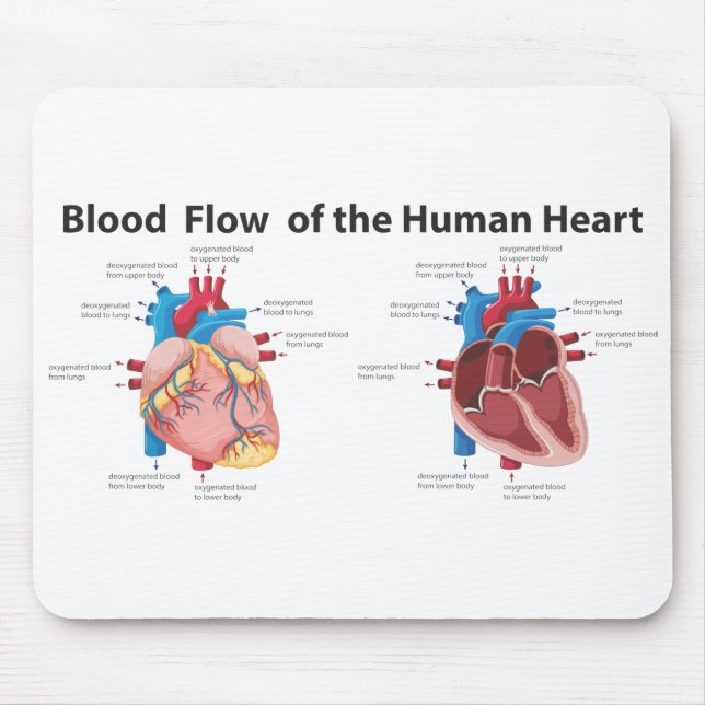 Blood Flow of the Human Heart Mouse Mat (Front)