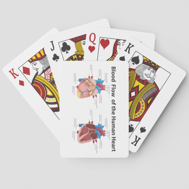 Blood Flow of the Human Heart Playing Cards (Back)