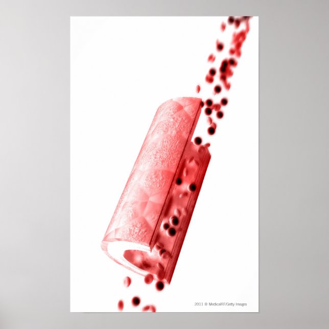 Blood flowing through an artery poster (Front)