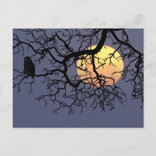 Blood Moon and Night Owl in Tree Silhouette Postcard (Front)