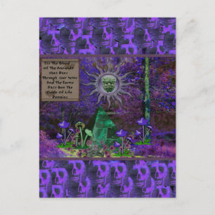Blood Of The Ancients Postcard