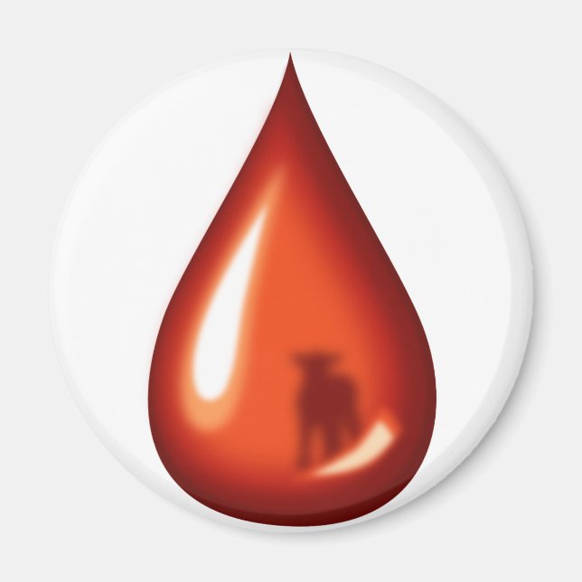 Blood of the Lamb- Jesus Magnet (Front)