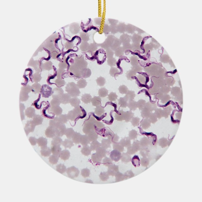 Blood Parasite Trypanosoma Ceramic Tree Decoration (Front)