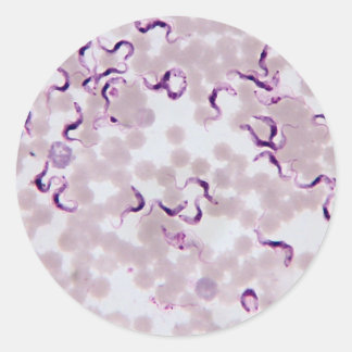 Blood Parasite Trypanosoma Classic Round Sticker