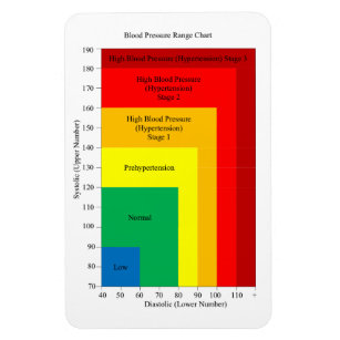 Blood pressure chart magnet