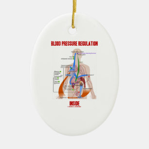 Blood Pressure Regulation Inside Physiology Ceramic Tree Decoration